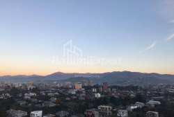 Квартира 1-комн 36 м² - Григола Элиава, Батуми