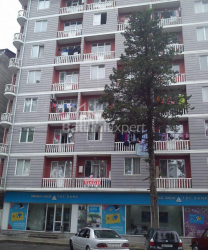 Квартира 3-комн 47 м² - Вахтанга Горгасали, Батуми