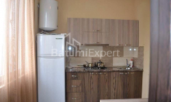 Квартира 3-комн 43 м² - Александра Грибоедова, Батуми