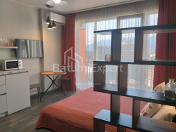 Квартира 1-комн 31.3 м² - Шалва Инасаридзе, Батуми