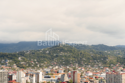 Квартира 52.5 м² - Еквтиме Такаишвили, Батуми, Грузия