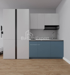 Квартира 1-комн 30.3 м² - Шалва Инасаридзе, Батуми