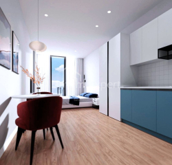 Квартира 1-комн 30.3 м² - Шалва Инасаридзе, Батуми