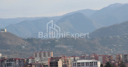 Квартира 1-комн 88.4 м² - Леха и Марии Качинских, Батуми